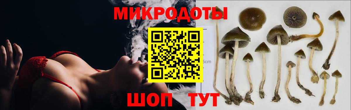Галлюциногенные грибы Psilocybe  Галлюциногенные грибы Psilocybe  Ликино-Дулёво  Вход с VPN 